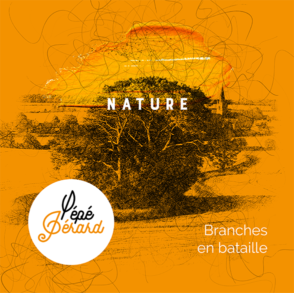 cover-single-nature-branches-en-bataille-pepe-gerard@1.5x Nature-Branches en bataille-Pépé Gérard